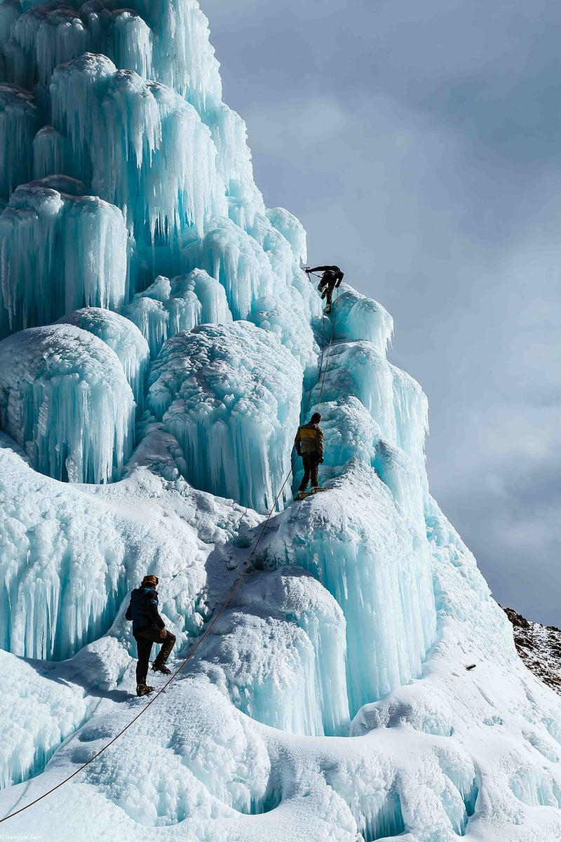 Future Expeditions